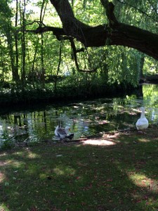 IMG_0068