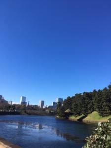 0124f02d8bfbdcee0fd57392f2ca70ddd81e44c379