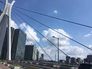 IMG_E4349
