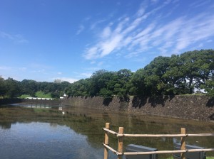IMG_E4495