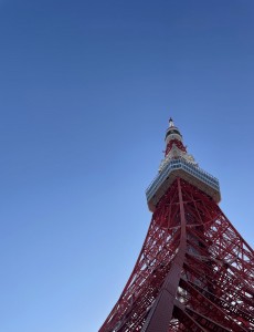 IMG_E7356