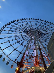 IMG_7947