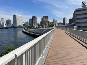 IMG_7960