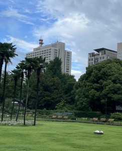 IMG_E8006