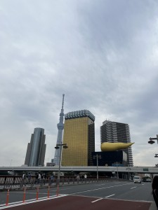 IMG_8498