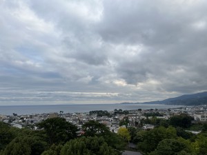 IMG_8517