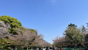 IMG_E9615