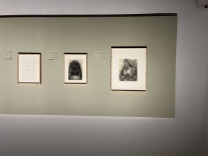 IMG_9811