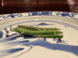 IMG_1543