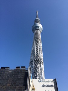 01561535a04ee10745118b1740c484433e8c09e21a