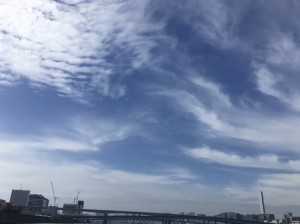 IMG_E5912