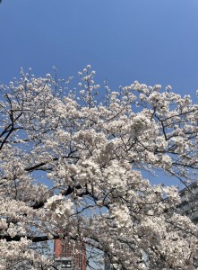 IMG_E6565