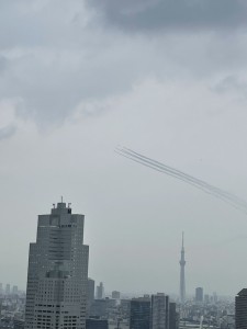 IMG_6937
