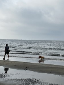 IMG_6950