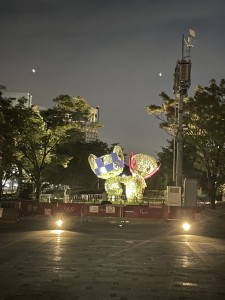 IMG_6955