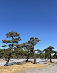 IMG_E7559