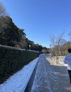 IMG_E7560