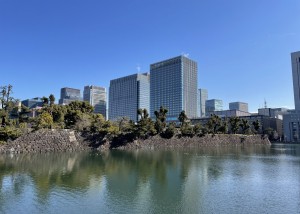 IMG_E7561