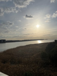 IMG_7684