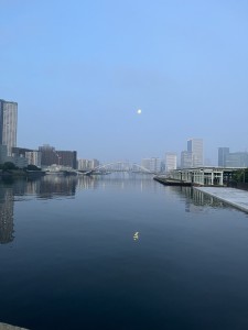 IMG_7817