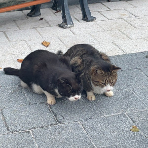 0B256CB3-0072-4051-B2A0-DA66C0A02BDC