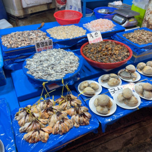 11787ACD-567C-4B73-A840-71C7CC0EAC1A