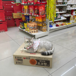 32FC97C9-7056-4DB2-B1AB-EA4CCA35575C