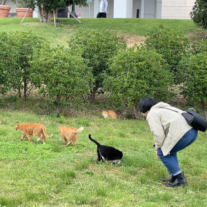 4582D138-6E8F-430A-BD8A-01B1B435BE08